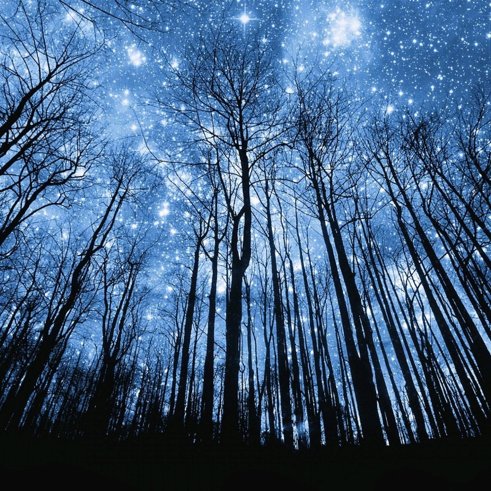 Meet your Posher, Kym